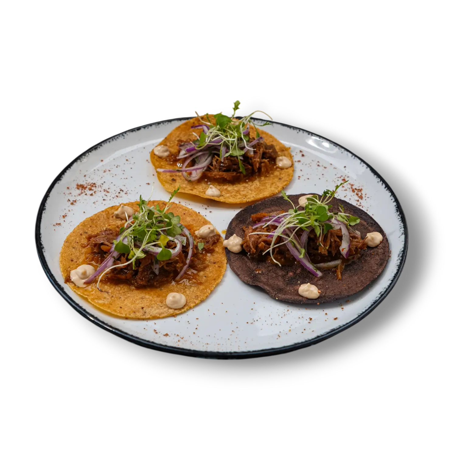 plato de comida